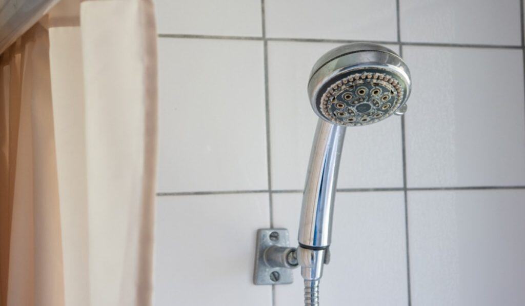 Douchekop Ontkalken