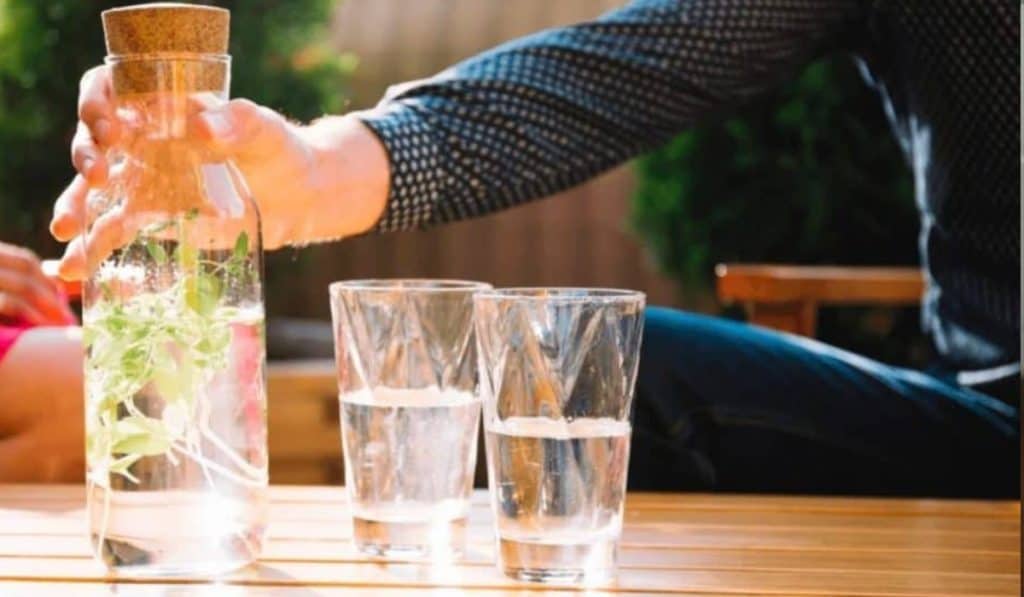 Gedestilleerd Water Kruidvat